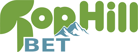 vntophillbet.com Logo